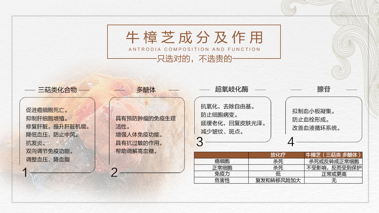 野生牛樟芝多少钱